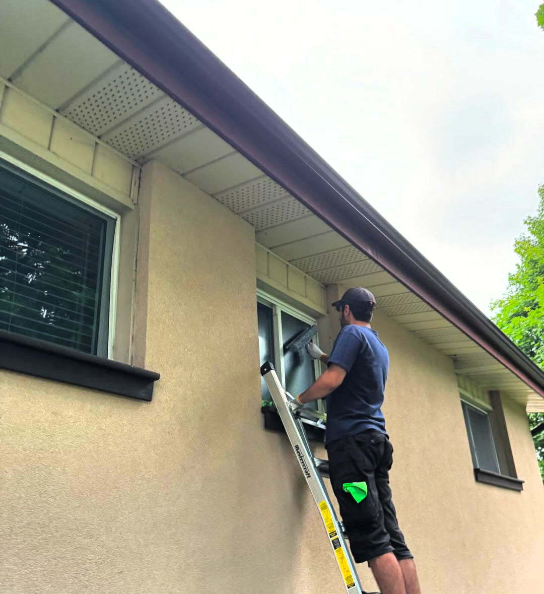 Professional window cleaning crew